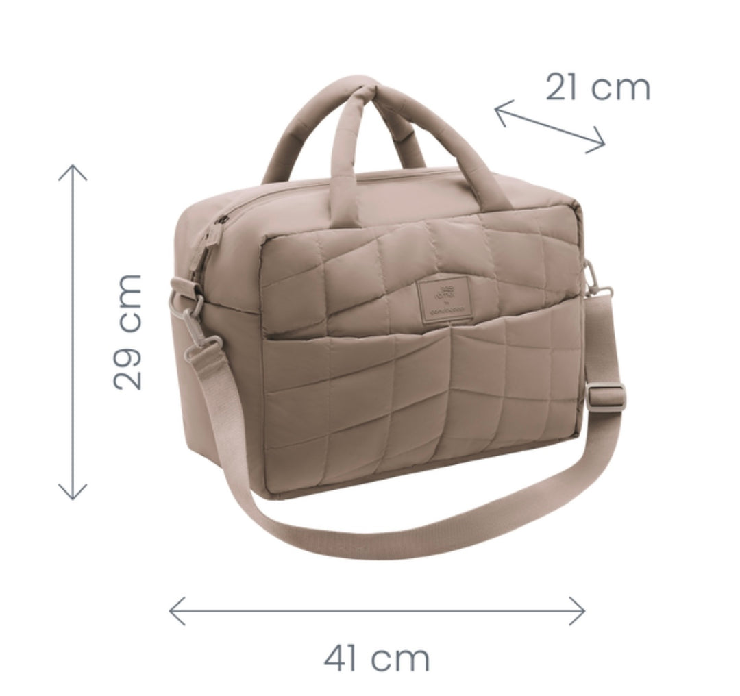 Britax Changing Bag